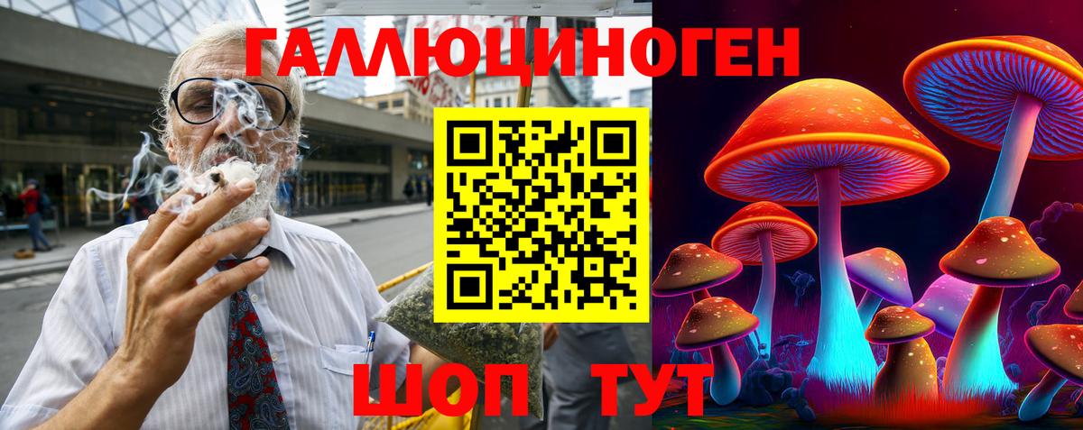 Галлюциногенные грибы Psilocybine cubensis Нурлат